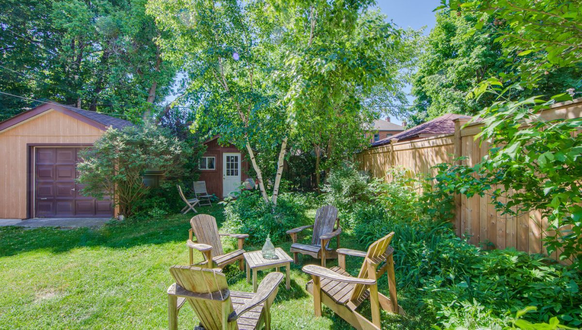 265 Brookdale Ave - Backyard